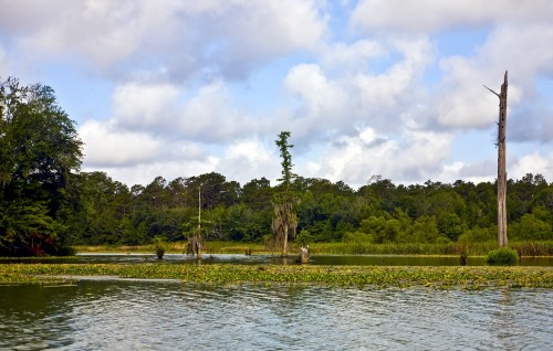 Click to view profile for Seminole State Park