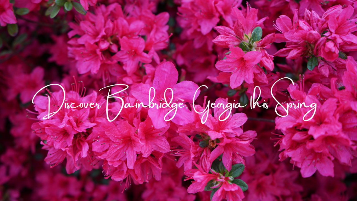 Banner Slide 1
