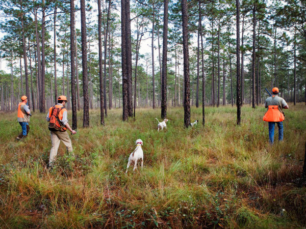Southwind Plantation is the 2017 ORVIS Wing-shooting Plantation of the Year Award Winner! Southwind offers the perfect atmosphere for the avid outdoorsman.