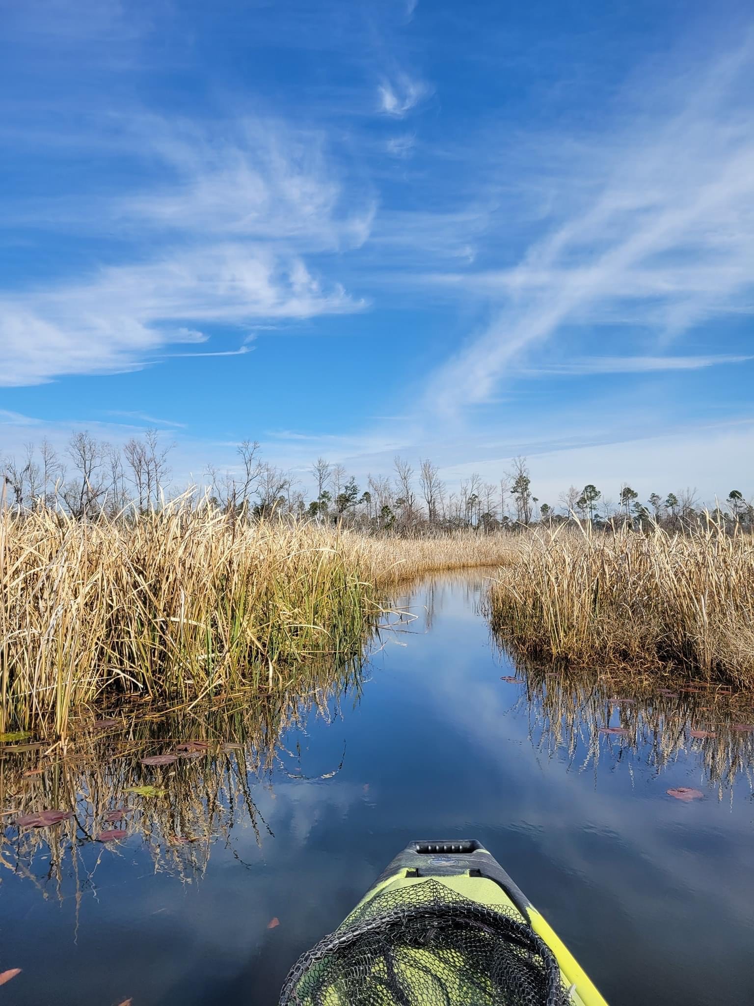 Bainbridge is home to the Flint River leading into Lake Seminole, a world renowned fishery perfect for kayak fishing.