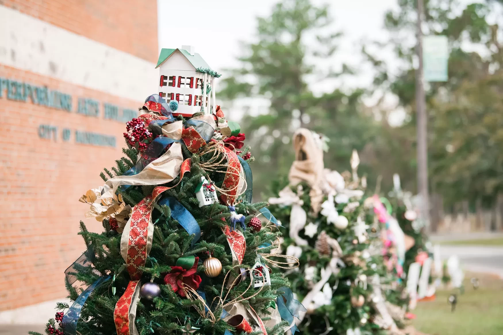 A free display of uniquely decorated Christmas trees for public enjoyment located at the Earle May Boat Basin beginning on Thanksgiving day.