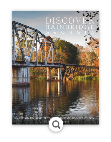 Discover Bainbridge Georgia book cover